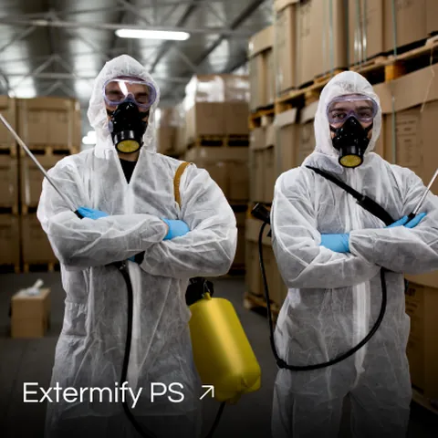 Extermify Pest Solutions brand work